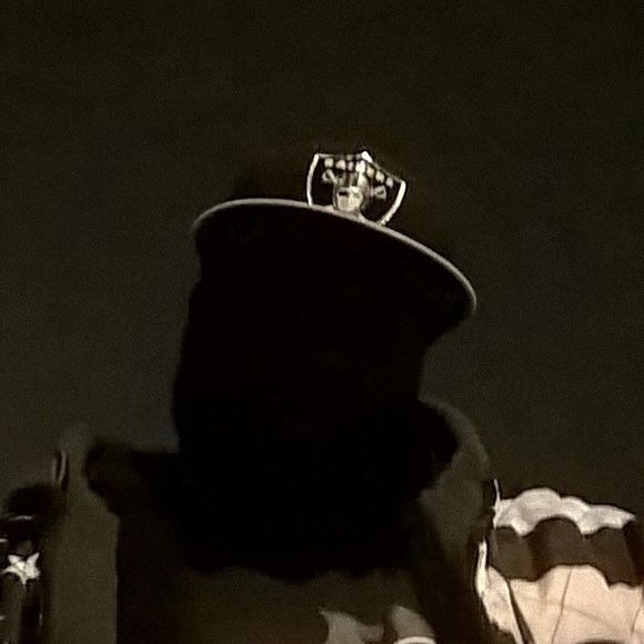 Meet your Posher, Mac - Picture 1 of 1